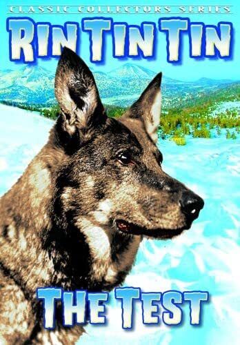 Rin Tin Tin - Test (DVD) Monte Blue Rin Tin Tin Jr. Grant Withers