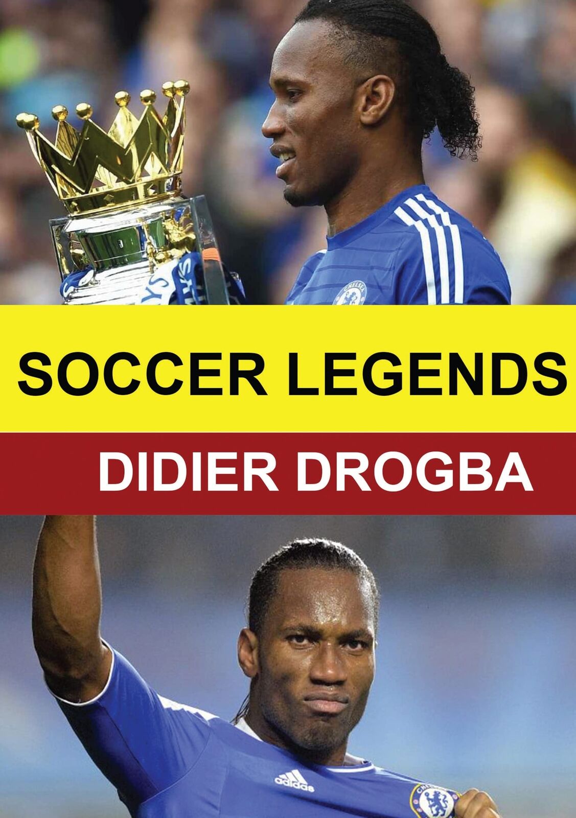Soccer Legends: Didier Drogba (DVD)