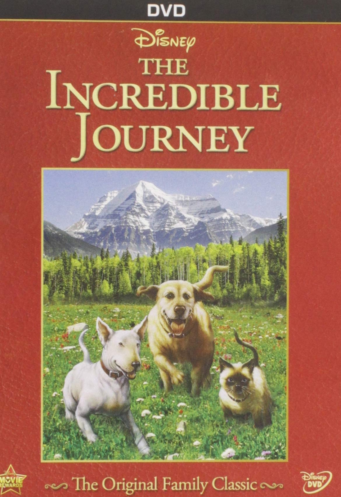 The Incredible Journey (DVD) Rex Allen Beth Amos Robert Christie Eric Clavering