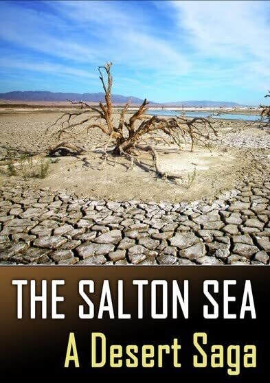 The Salton Sea: A Desert Saga (DVD)