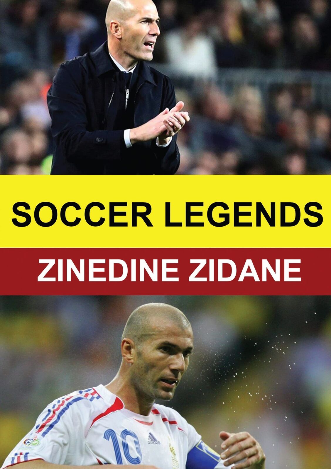 Soccer Legends: Zinedine Zidane (DVD)