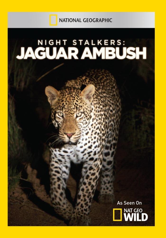 Night Stalkers: Jaguar Ambush (DVD)