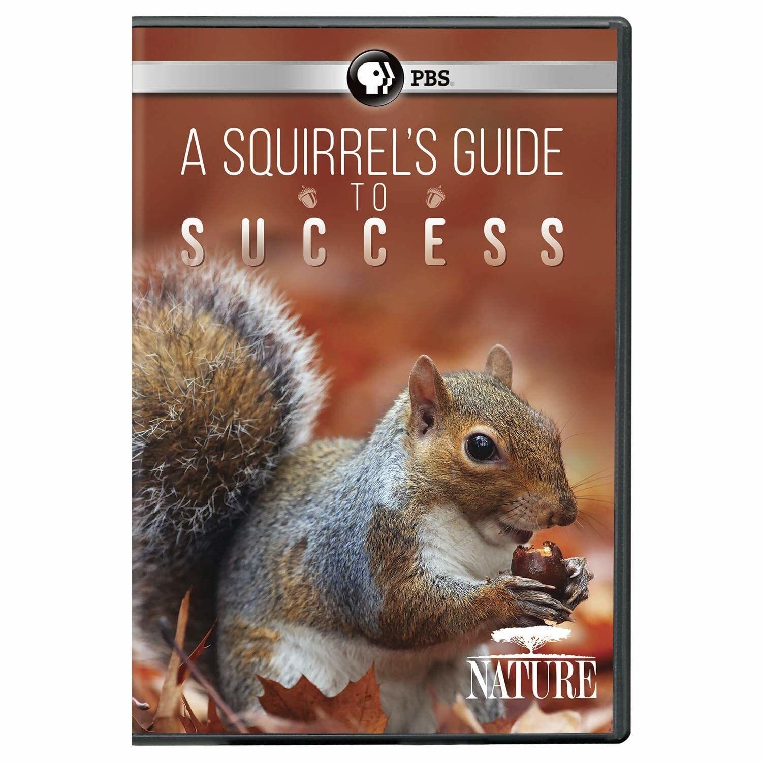 NATURE: A Squirrel's Guide to Success DVD (DVD)