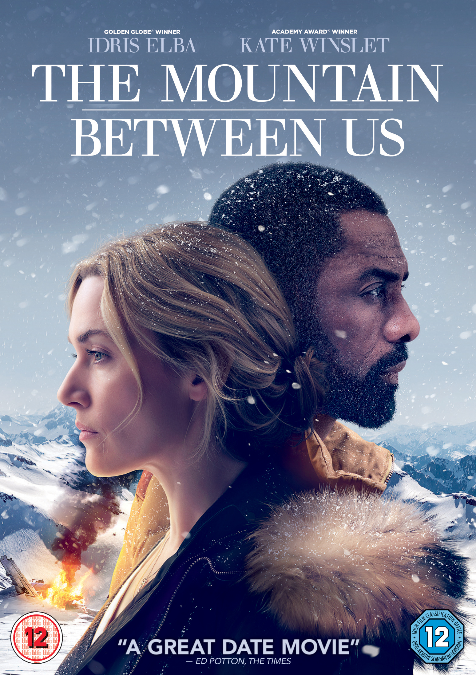 The Mountain Between Us (DVD) Idris Elba Kate Winslet Dermot Mulroney