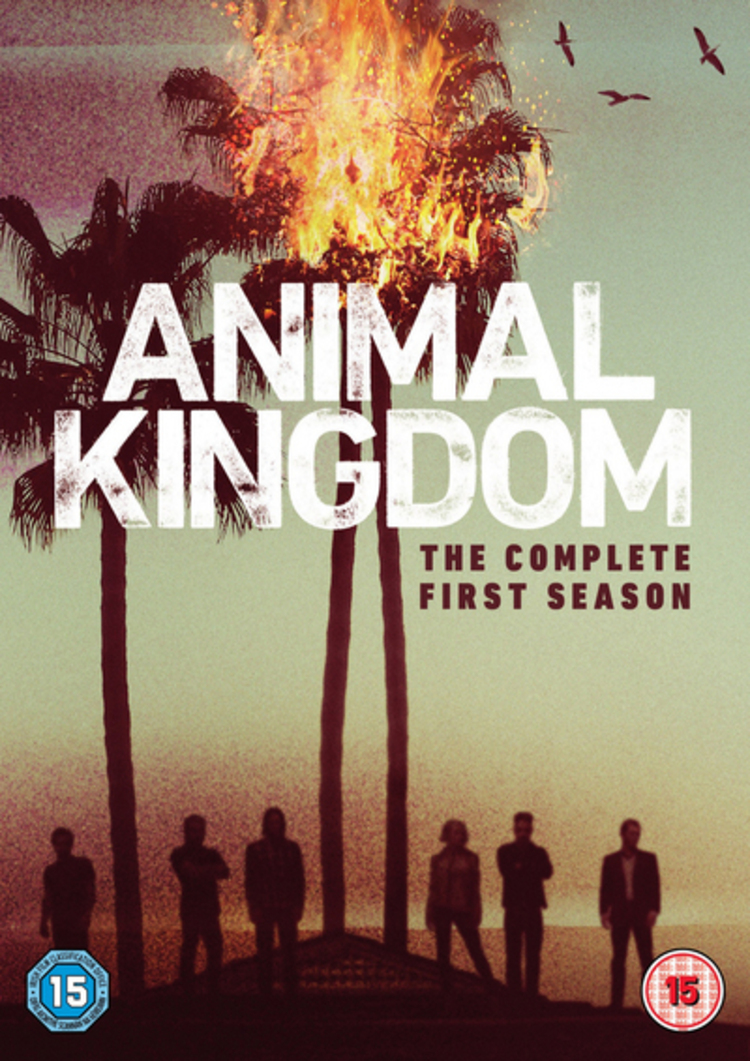 Animal Kingdom: Season 1 (DVD)