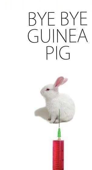 Bye Bye Guinea Pig (DVD) Aude Favre