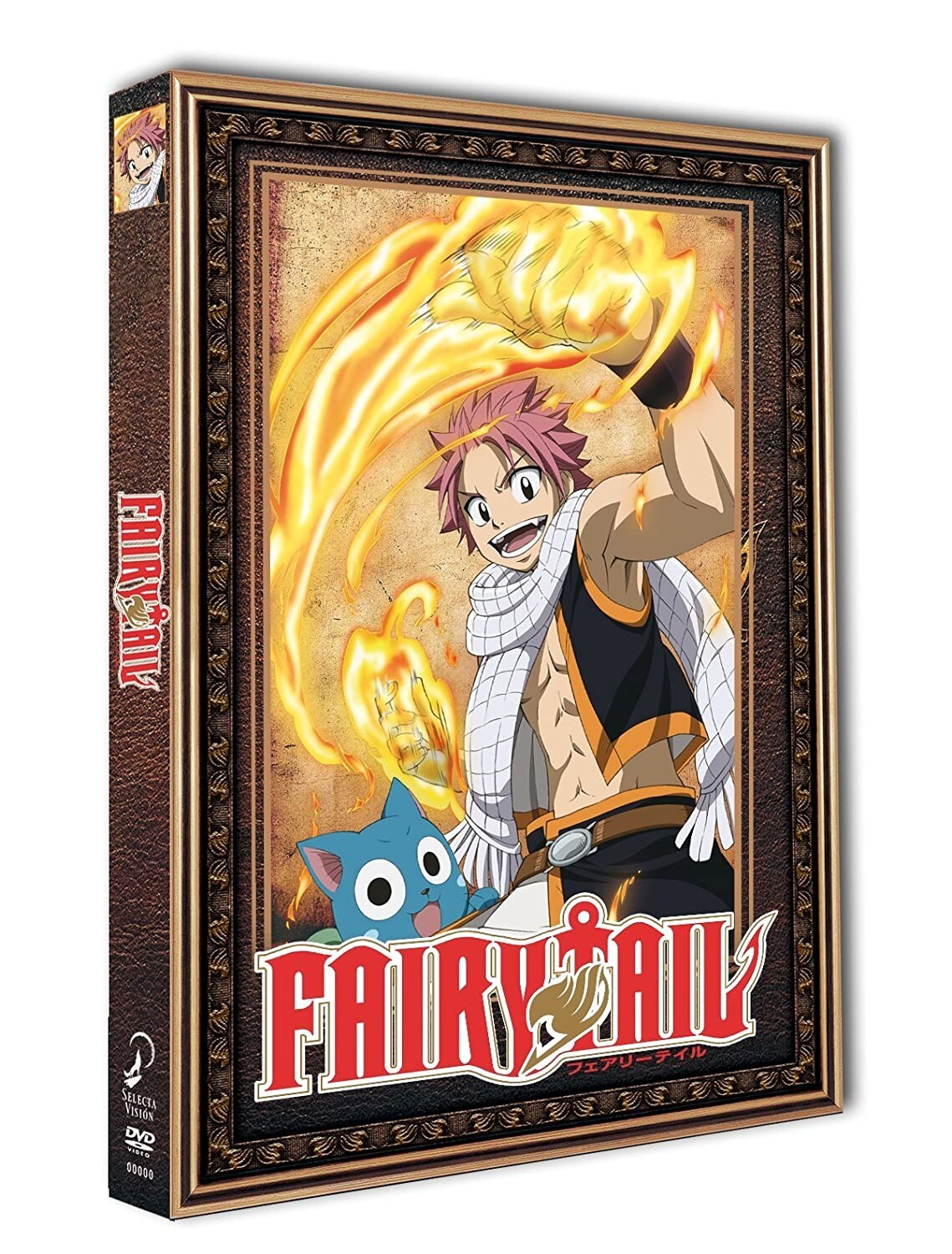 Fairy Tail [DVD]