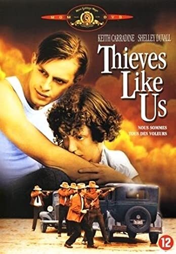Thieves Like Us (DVD)