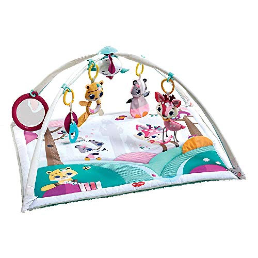 (TG. Gymini Deluxe) Tiny Love Deluxe Gymini Palestrina bambini, palestrina evolu