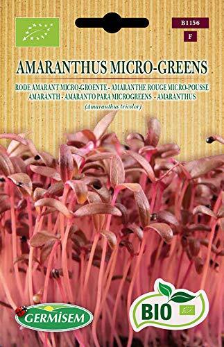 Germisem Biologico Amaranthus Micro-Greens Amaranth Semi 1 g (u9k)