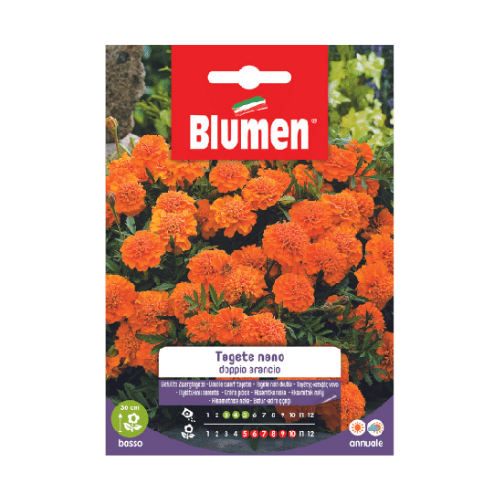 Semi per Fiori Tagete Nano Doppio Arancio Blumen