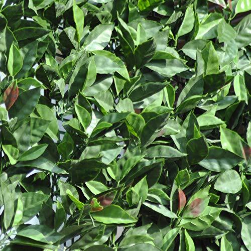 Tenax Divy 3D Plus Photinia, Siepe Sintetica 1,50x3m Foglie Tipo Fotinia su Rete