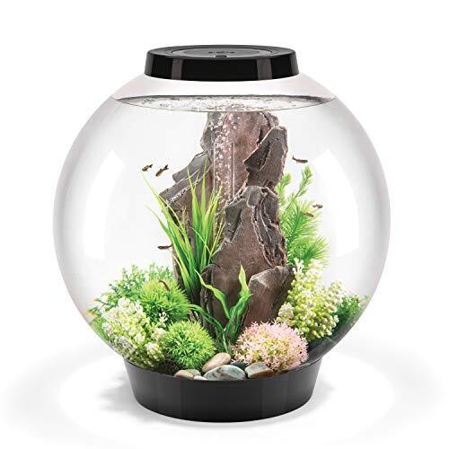 Oase 72011 biOrb Classic 60 LED, Negro