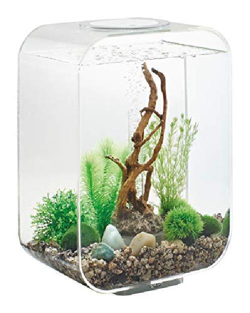 Oase Biorb Life 15 LED, Limpido