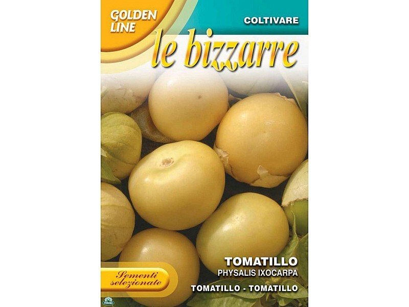 SEMENTI DI PHYSALIS IXOCARPA TOMATILLO orto giardino semi seeds