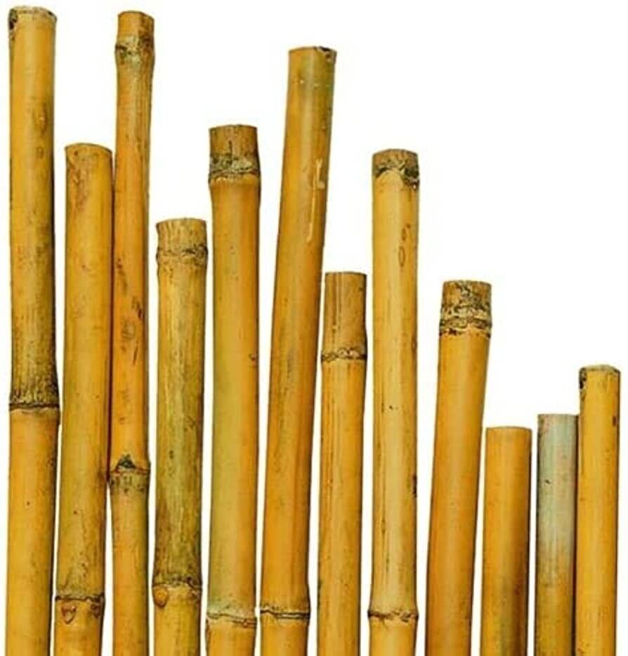 CANNE BAMBOO NATURALE ORTO PIANTE TUTORE H210CM 22/24 MM PALETTO SET 10 PEZZI