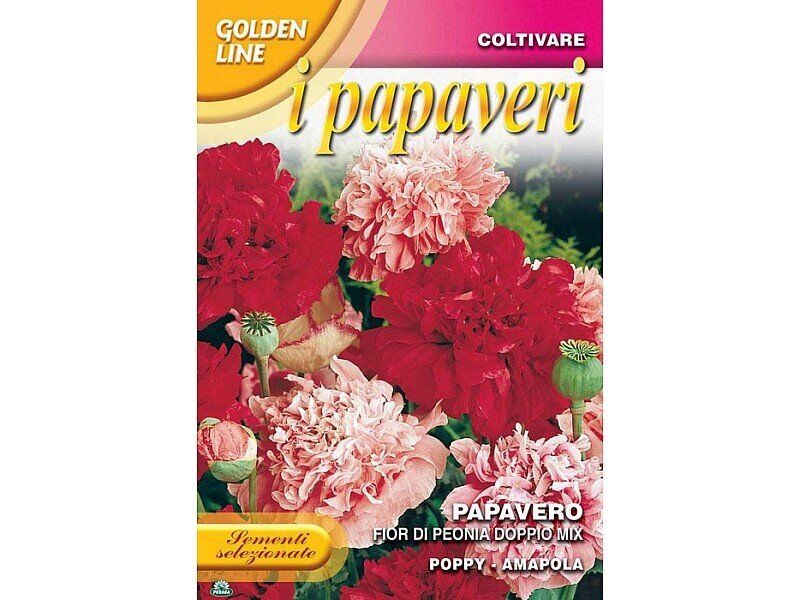 SEMENTI DI PAPAVERO FIOR DI PEONIA DOPPIO MIX orto giardino semi seeds fiori