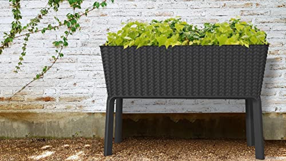 (TG. grande) Keter - Fioriera Splendor Grafite 114x49,3x75,7 Centimetri - NUOVO