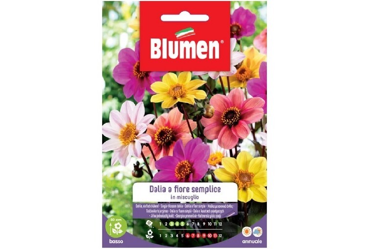 Blumen semi Dalia Semplice in miscuglio