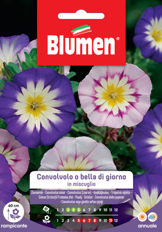SEMI CONVOLVOLO MIX BLUMEN
