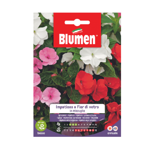 Semi per Fiori Impatiens o Fior di Vetro in Miscuglio Blumen