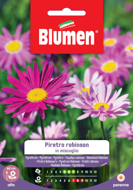 SEMI PIRETRO ROBINSON MIX BLUMEN