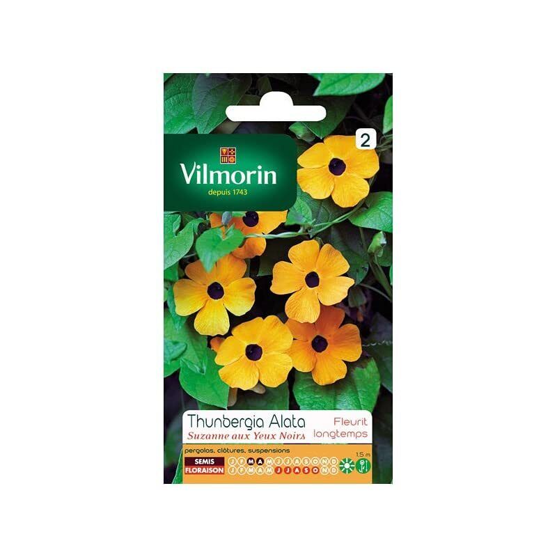Pacchetto di semi di Vilmorin Thunbergia Alata Suzanne con occhi neri (R4n)