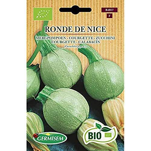 Germisem Biologico Ronde de Nice Semi di Zucchine 4 g (e6a)