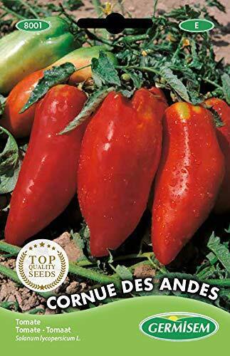 Germisem Cornue de Andes Semi di Pomodoro 0.2 g (F1Z)