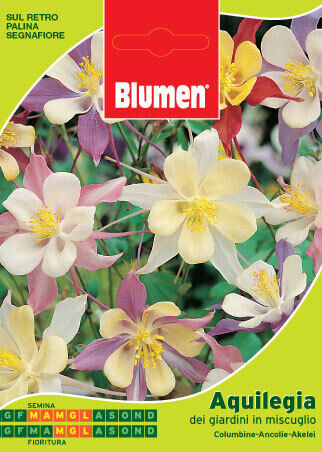 Sementi di Aquilegia dei giardini in miscuglio Blumen giardino fiori semi seeds