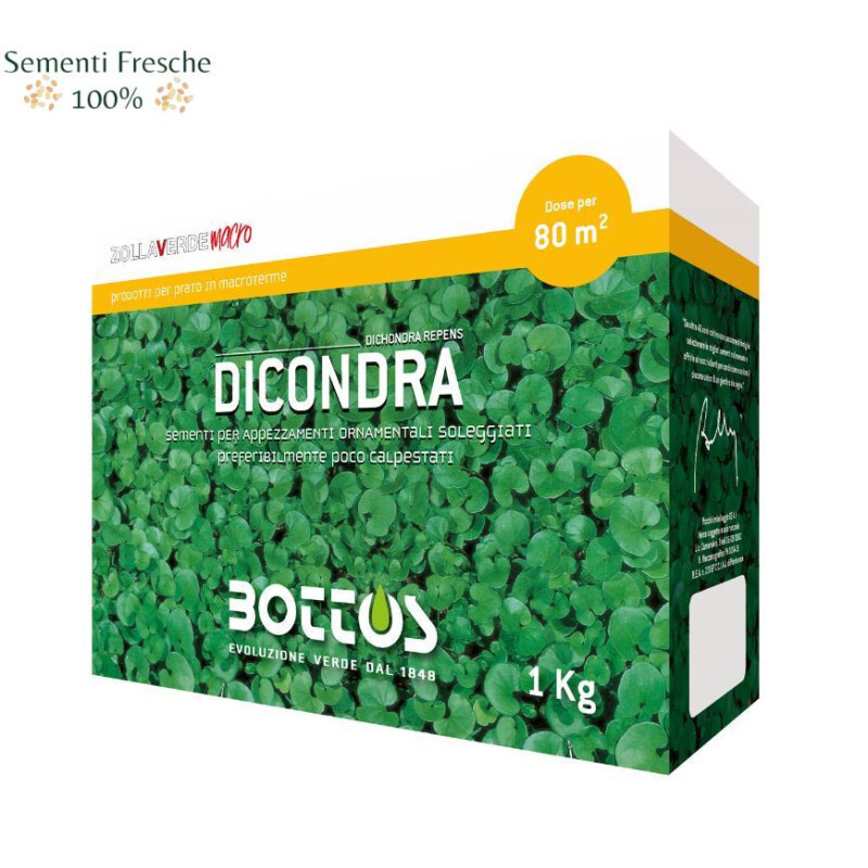BOTTOS - DICONDRA / 1 Kg - Sementi per prato Macroterme 8032615946253