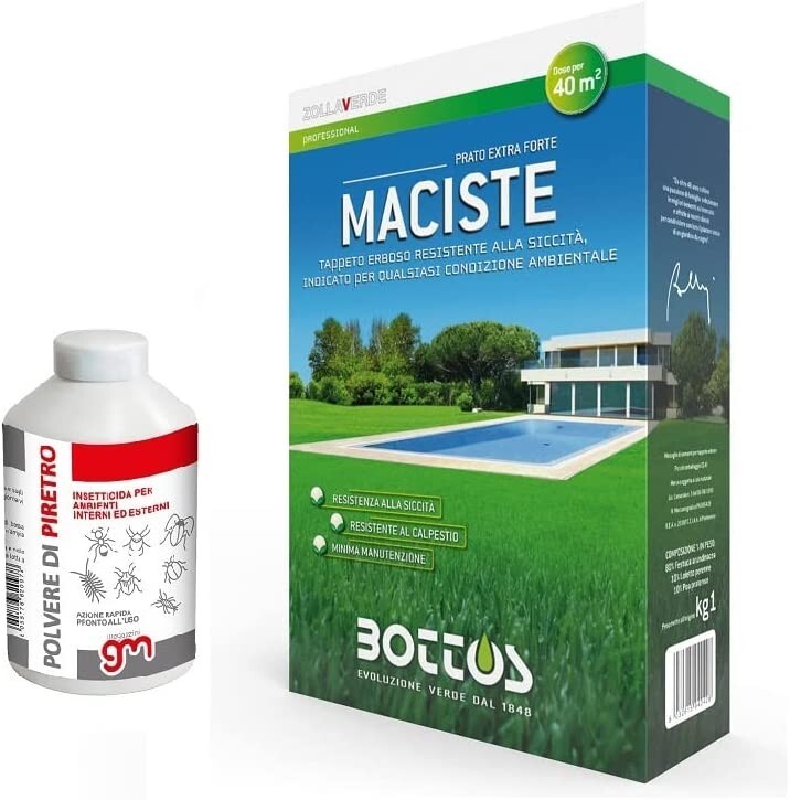 Bottos - MACISTE Sementi 1Kg + insetticida GM PBK Polvere di Piretro 250gr
