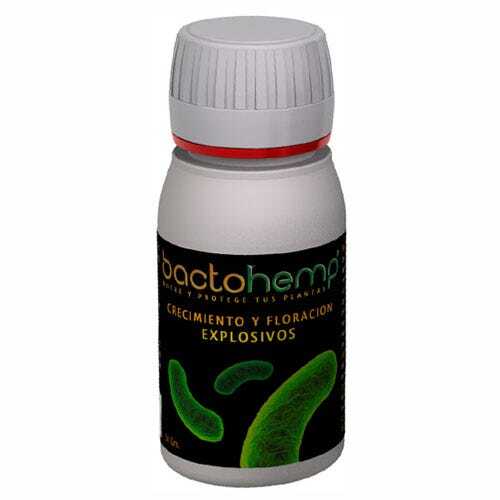 Additivo in Polvere di Bacilli e Batteri Agrobacterias BactoHemp (50g)