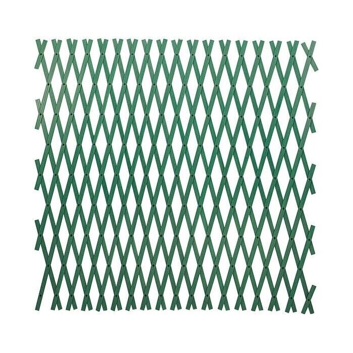Traliccio Estensibile in Pvc colore Bianco 3X1 Mt tipo rinforzato