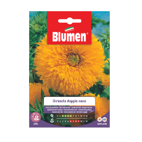 Semi per Fiori Girasole Doppio Nano Giallo Blumen