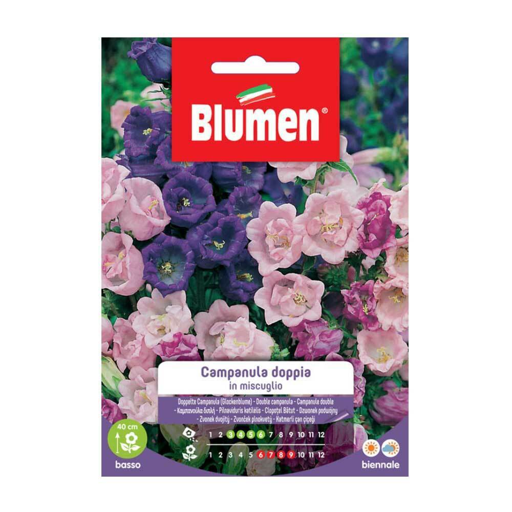 SEMI CAMPANULA DOPPIA MIX BLUMEN