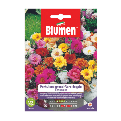 Semi per Fiori Portulaca Blumen