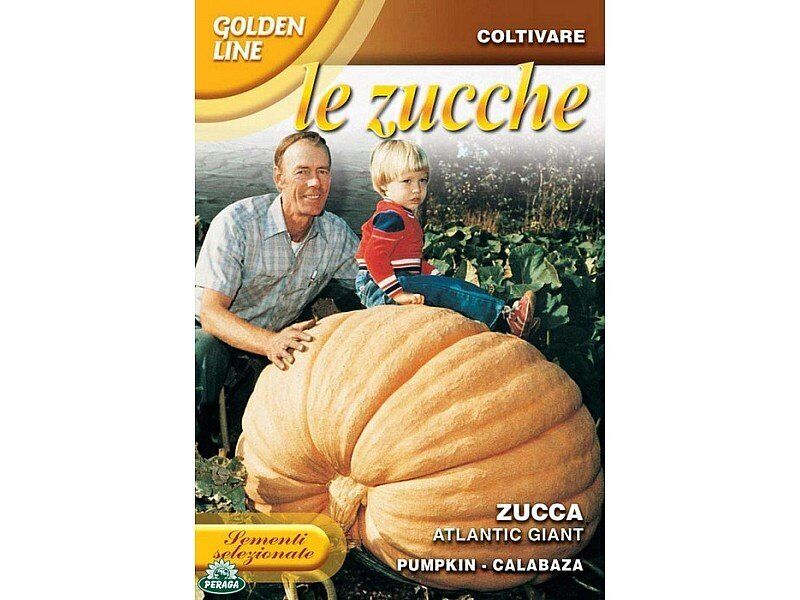 SEMENTI DI ZUCCA ATLANTIC GIANT orto giardino semi