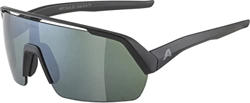 Alpina Turbo Hr Q-Lite, Sunglasses Unisex Adulto, Black Matt, Taglia Unica