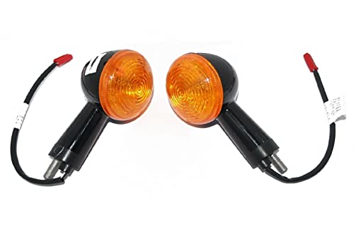 Aespares Gruppo Indicatori Di Trafficatore Con Coppia Di Lampadine Compatibili Con Royal Enfield Hunter 350, Classic Reborn 350, Meteor 350