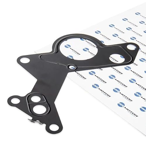 Dr.Motor Automotive Guarnizione Pompa Depressione Drm0461 Acciaio