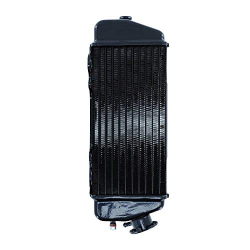 Radiatore 50 A Scatola Compatibile Con Beta 50 Rr -P2R