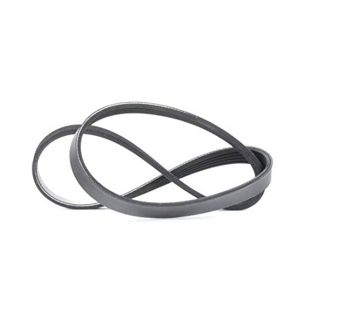 Meyle 050 005 0890 Cinghia Poly-V