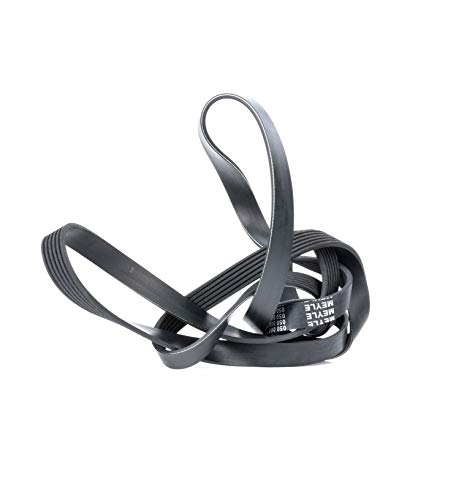 Meyle 050 006 2260 Cinghia Poly-V