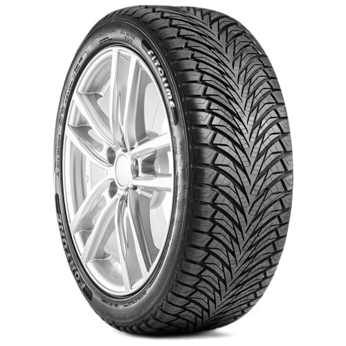 Gomme Pneumatici Fortune 205/60 R16 96V Fsr-401 All Seasons Xl
