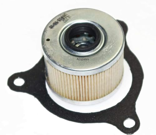 Aespares Filtro Olio Con Guarnizione Adatto Per Royal Enfield Himalayan + Scram 411Cc 4888464