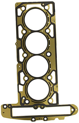 Payen Ae Italia Gp494.250 Elring