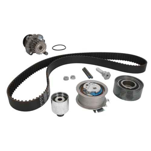 Kit Distribuzione Con Pompa Acqua Ina - 530046330