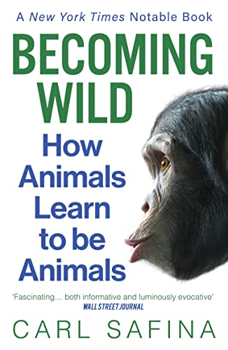 Becoming Wild: How Animals Learn To Be Animals