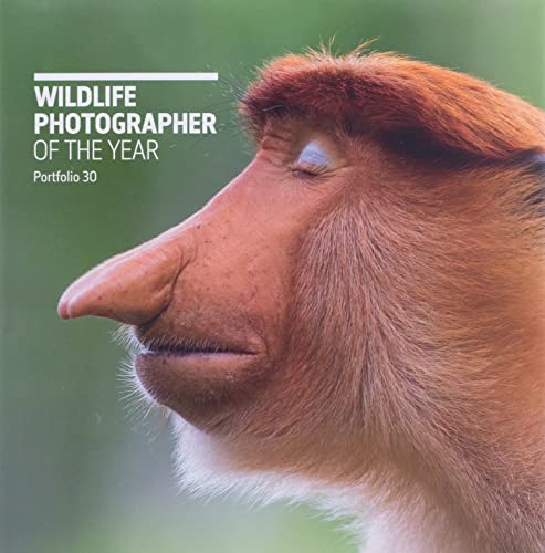 Wildlife Photographer Of The Year: Portfolio